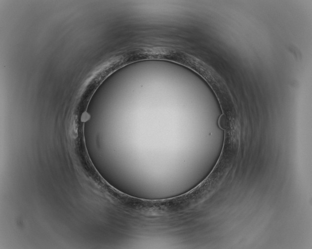 X0000114080731200910191542