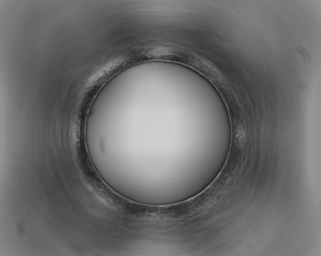 X0000114080732200910191542