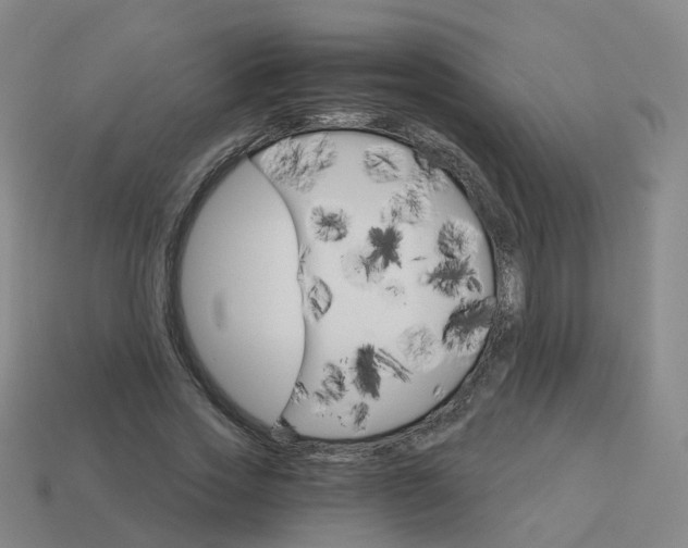 X0000114080733200910191542