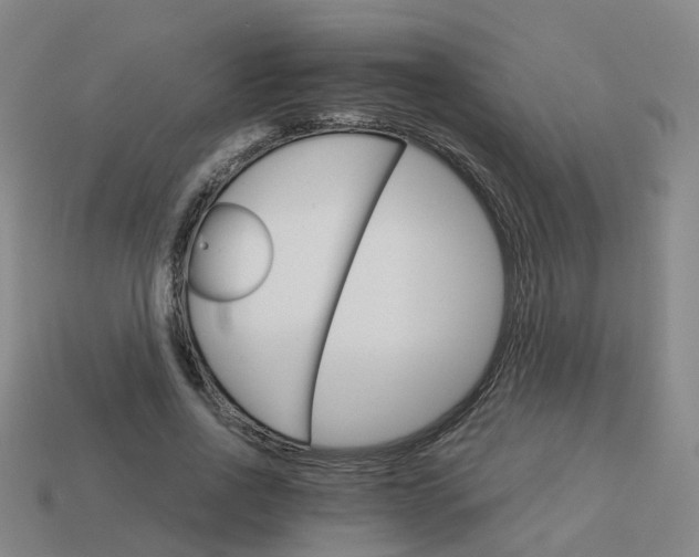 X0000114080734200910191542