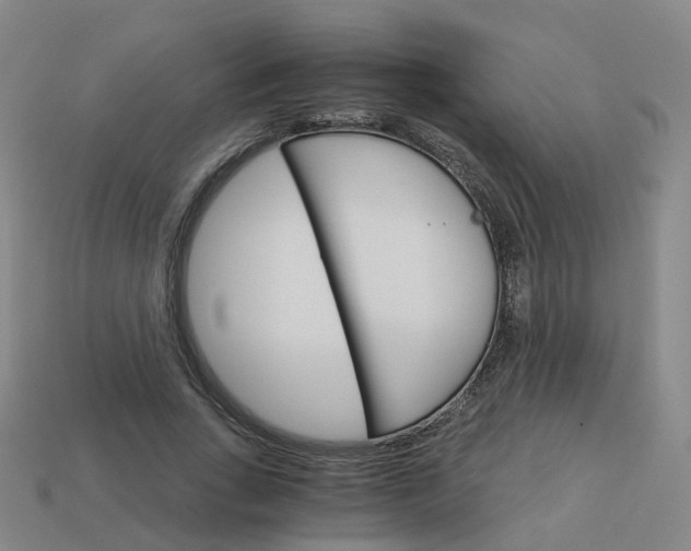 X0000114080735200910191542