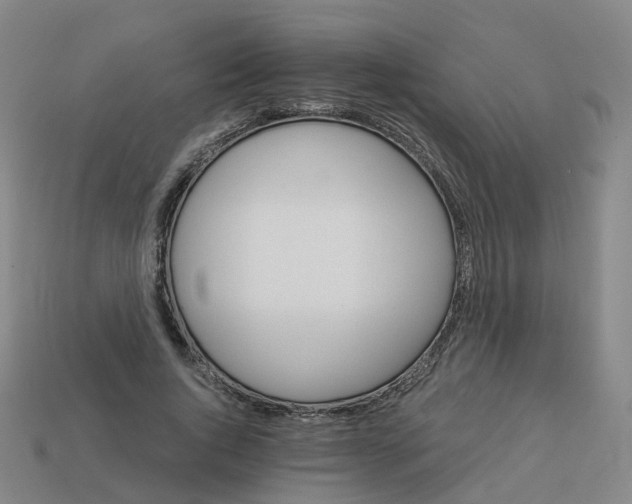 X0000114080736200910191542