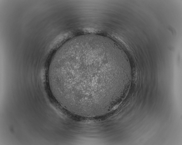 X0000114080738200910191542