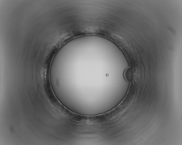 X0000114080739200910191542