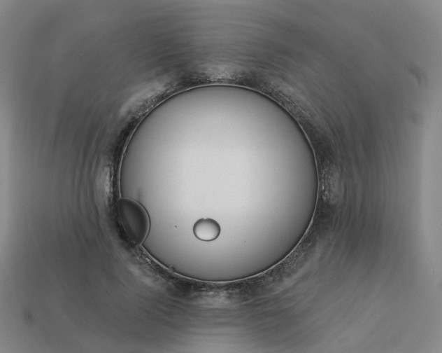 X0000114080740200910191542