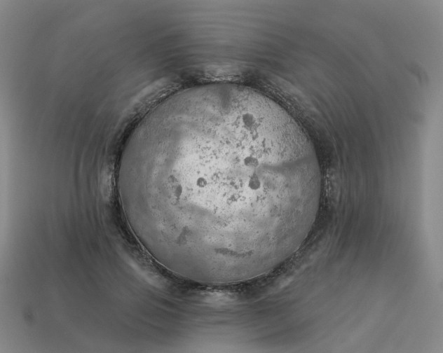 X0000114080741200910191542