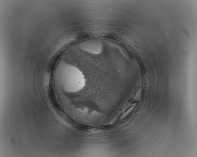 X0000114080742200910191542