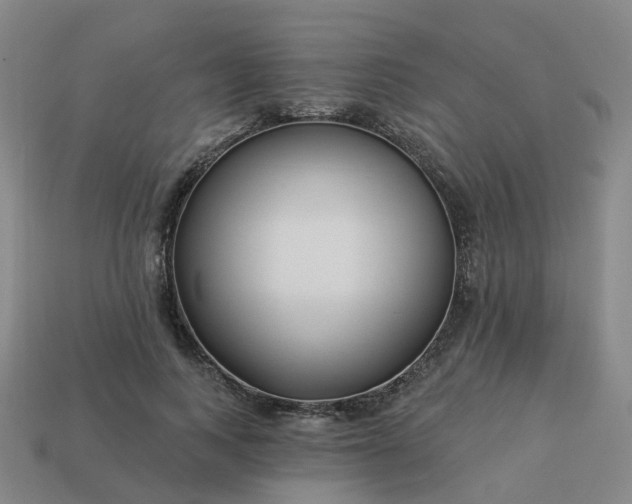 X0000114080743200910191542