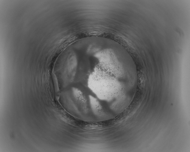 X0000114080745200910191542