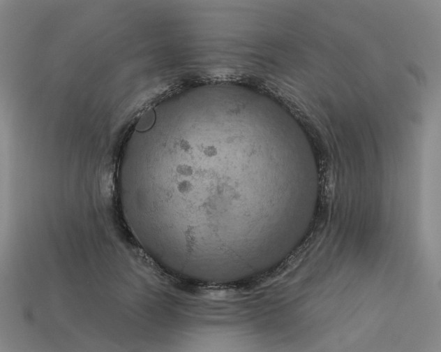 X0000114080746200910191542