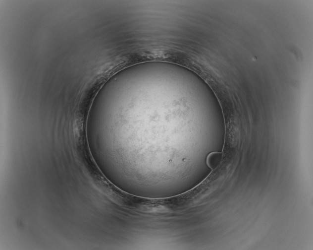 X0000114080747200910191542