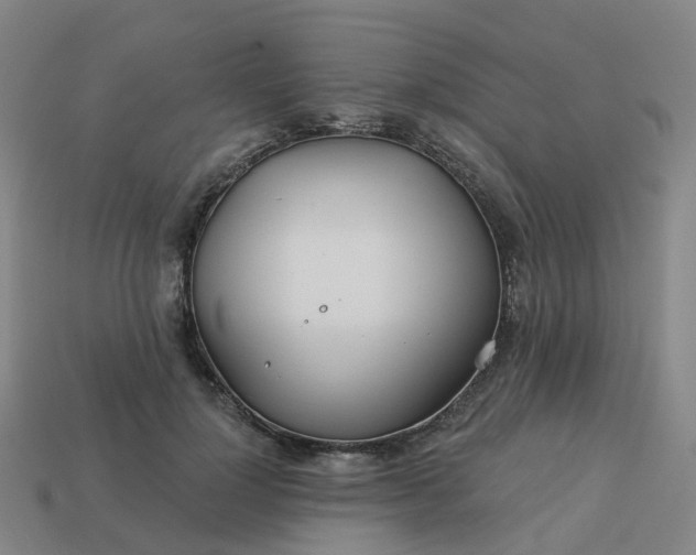 X0000114080748200910191542