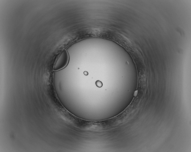 X0000114080750200910191542