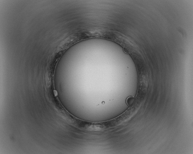 X0000114080751200910191542