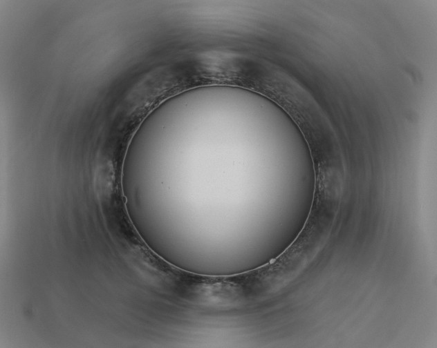 X0000114080752200910191542