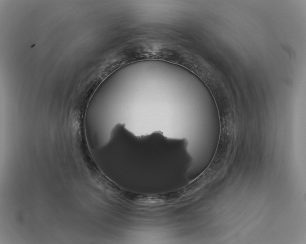 X0000114080754200910191542