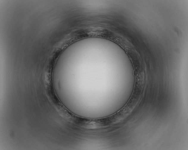 X0000114080755200910191542