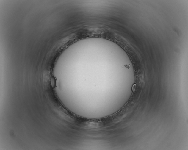 X0000114080756200910191542