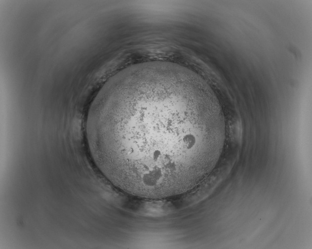 X0000114080757200910191542