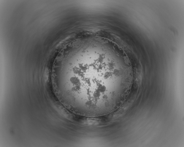 X0000114080758200910191542