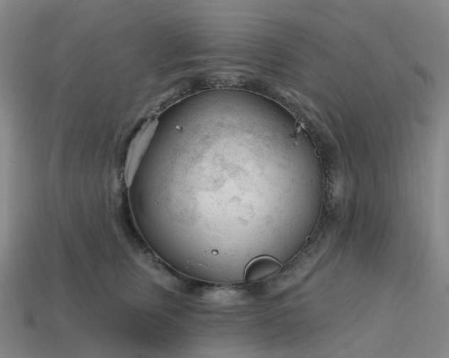 X0000114080759200910191542