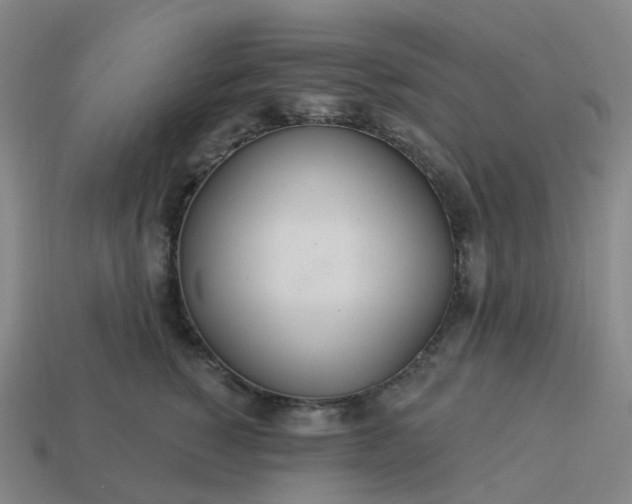 X0000114080760200910191542