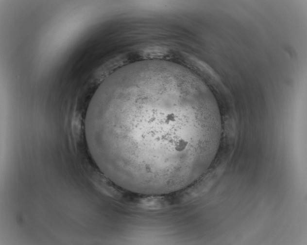 X0000114080761200910191542