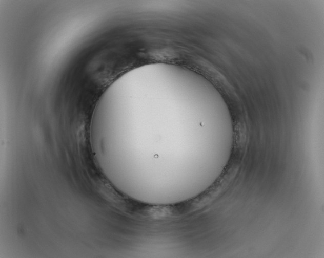 X0000114080762200910191542