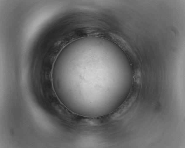 X0000114080763200910191542