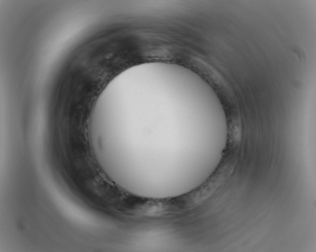 X0000114080764200910191542