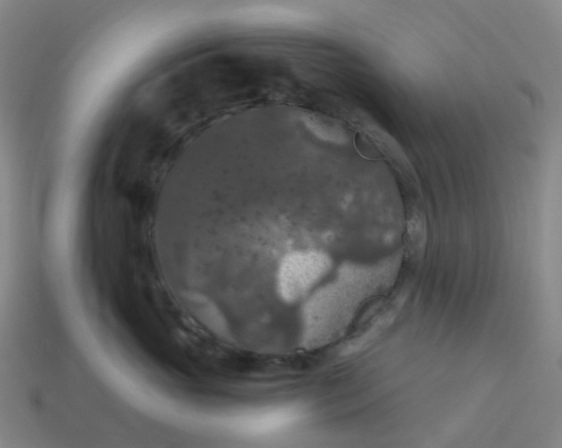 X0000114080765200910191542