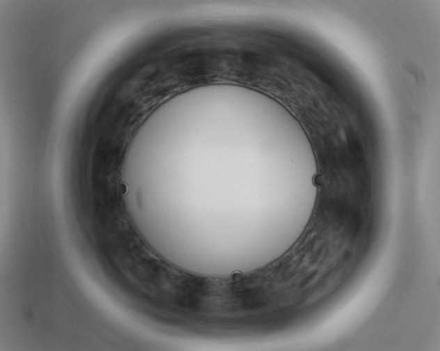 X0000114080766200910191542