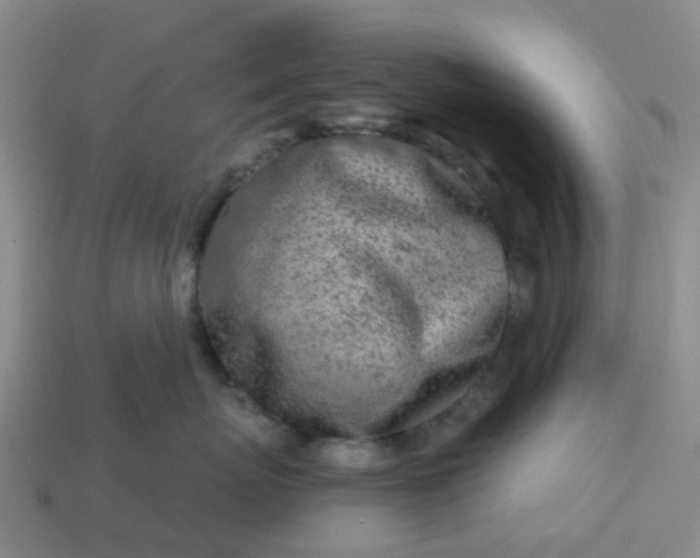 X0000114080767200910191542