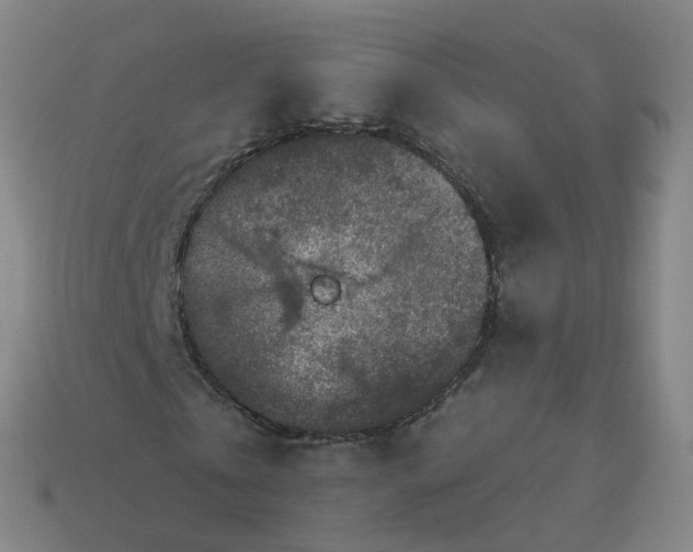 X0000114080769200910191542