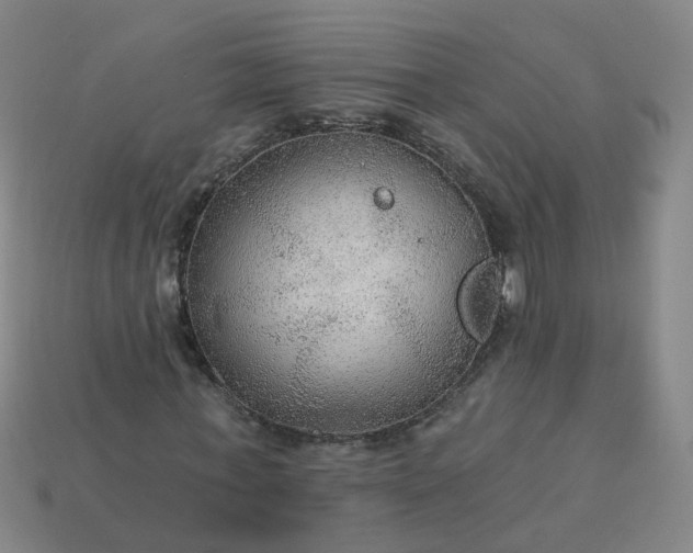 X0000114080771200910191542