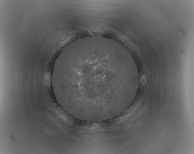 X0000114080772200910191542