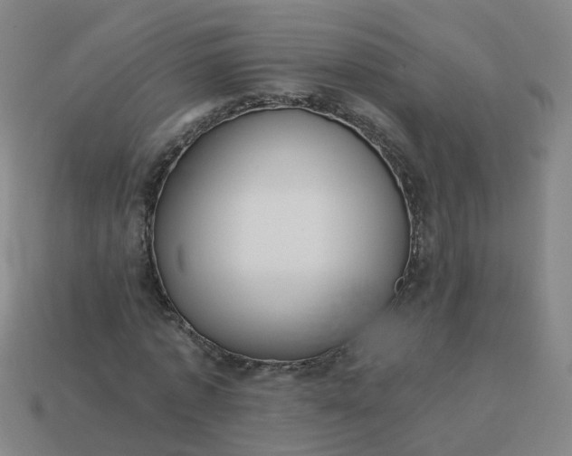 X0000114080773200910191541