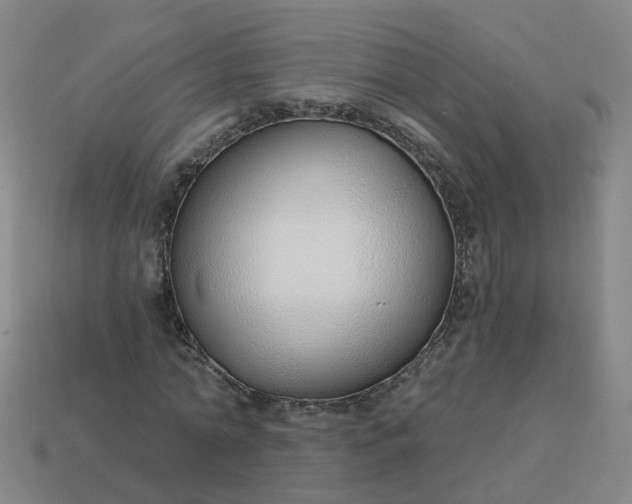 X0000114080774200910191541