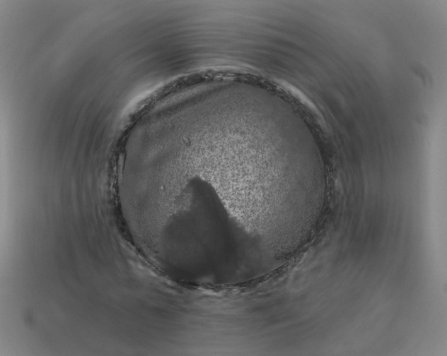 X0000114080775200910191541