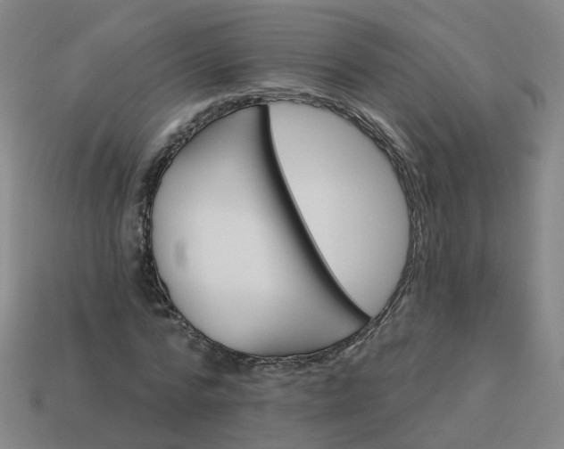 X0000114080776200910191541