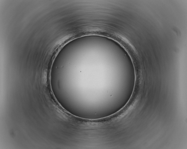 X0000114080777200910191541