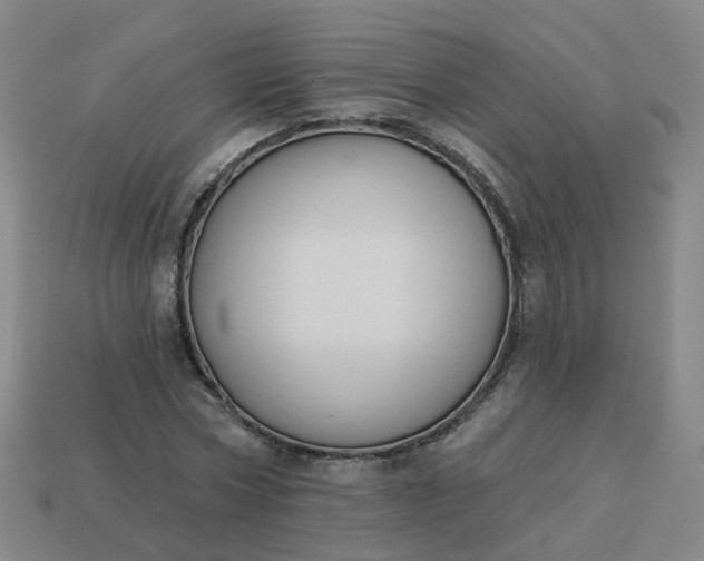 X0000114080778200910191541