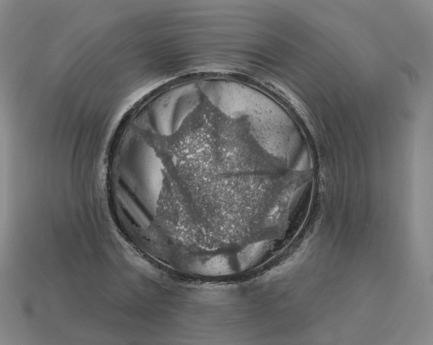 X0000114080779200910191541