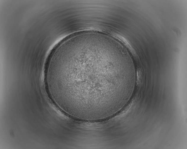 X0000114080780200910191541