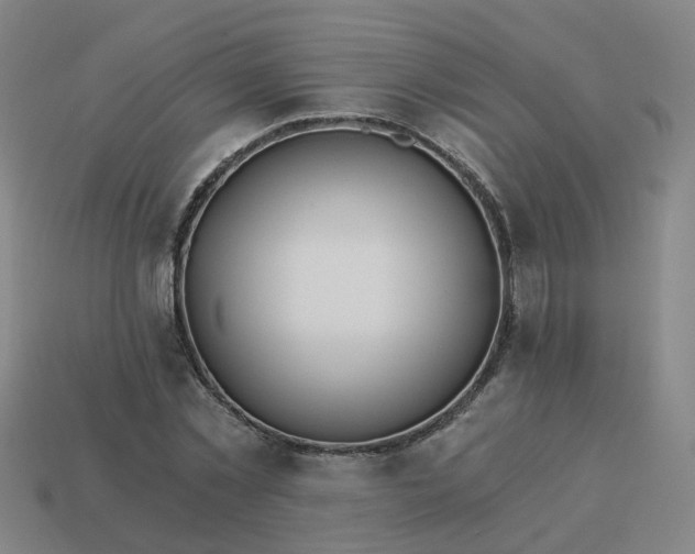 X0000114080781200910191541