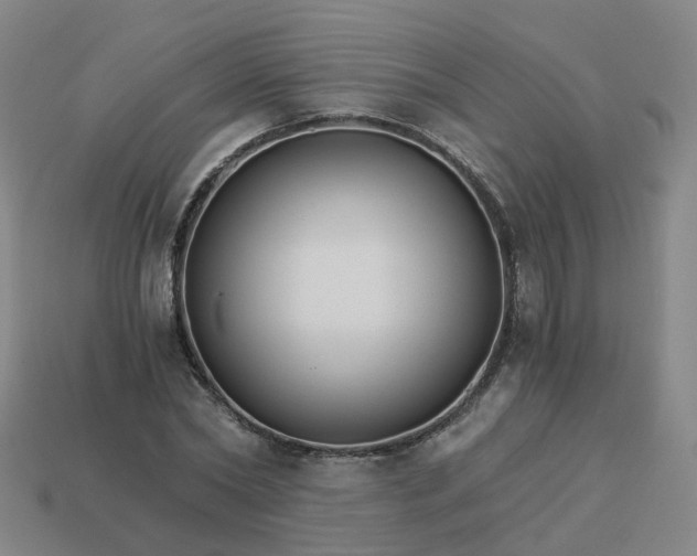 X0000114080782200910191541