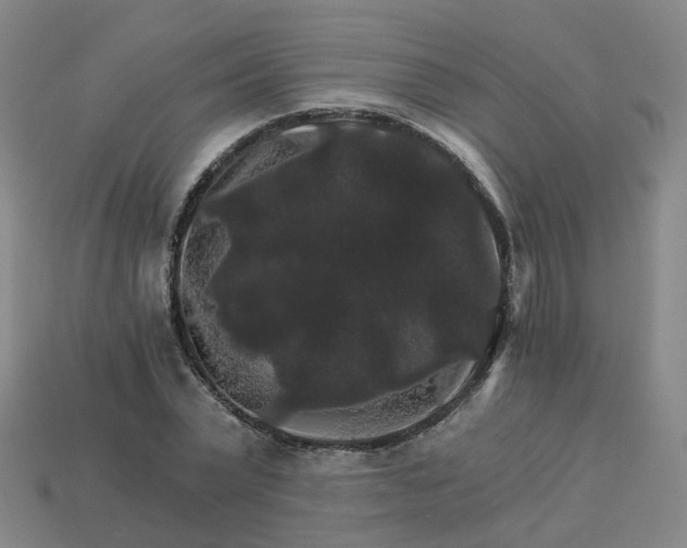 X0000114080783200910191541