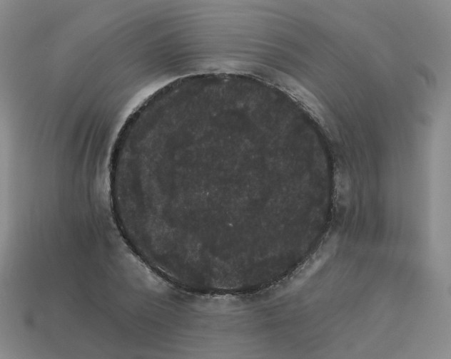 X0000114080784200910191541