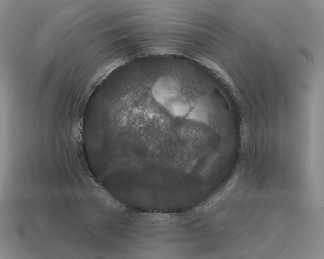 X0000114080785200910191541