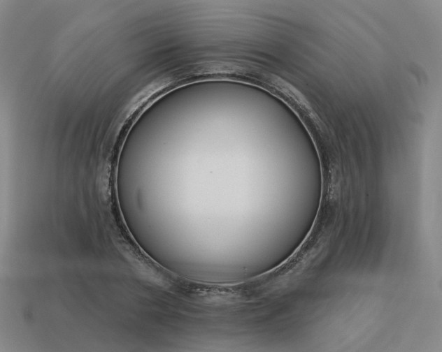 X0000114080786200910191541